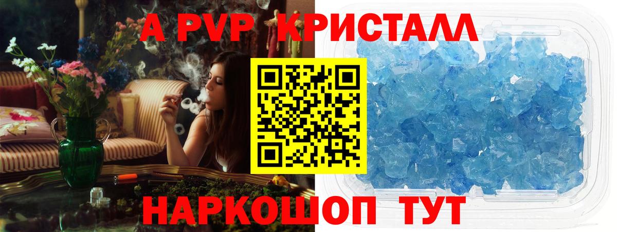 Alfa_PVP СК Волгоград