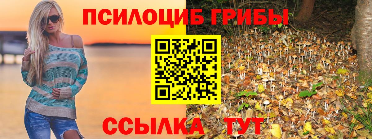 Псилоцибиновые грибы MAGIC MUSHROOMS Волгоград