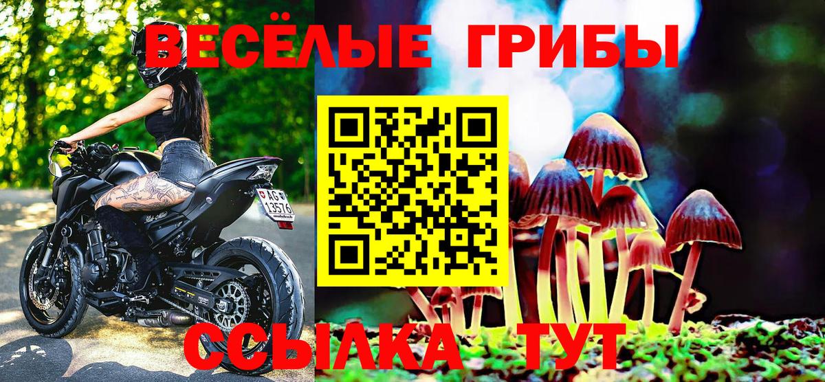 Галлюциногенные грибы мухоморы  Вход с VPN  Волгоград 